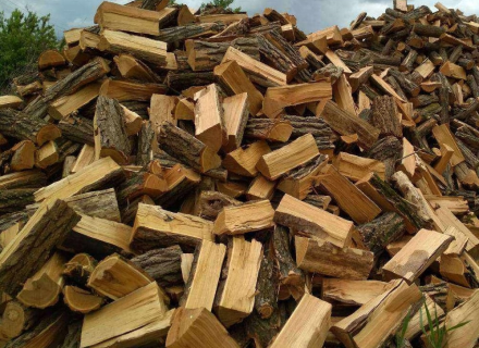 Дрова