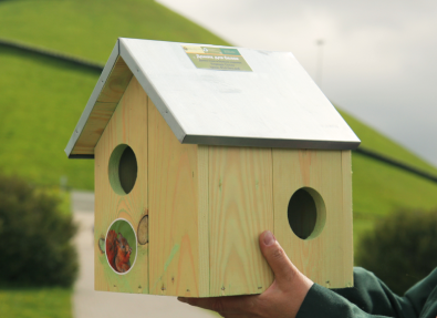 Скворечники